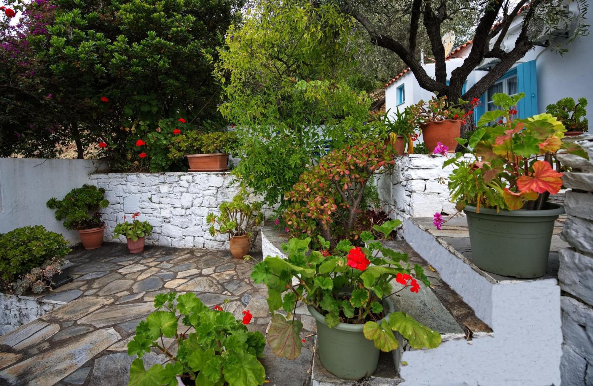 Limani Cottage Steni Vala Alonissos Extérieur photo