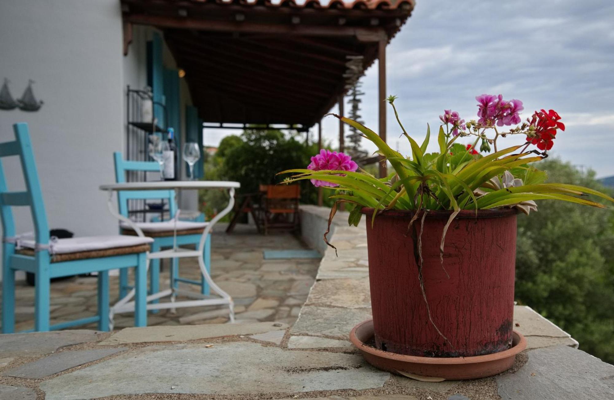 Limani Cottage Steni Vala Alonissos Extérieur photo